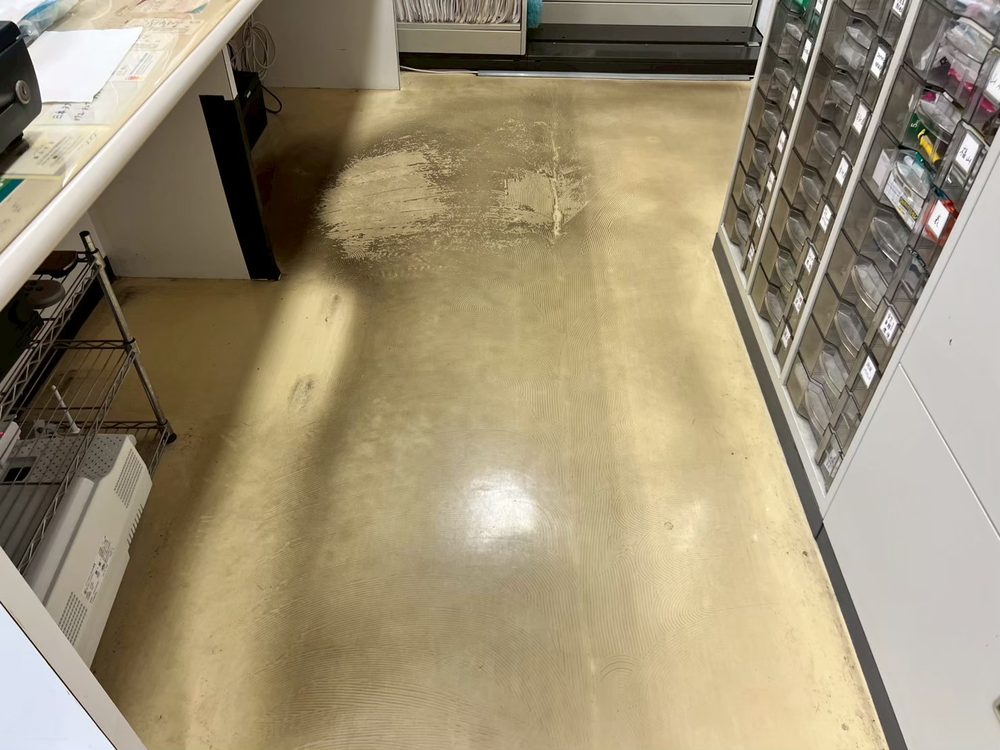 床ワックス剥離 施工前